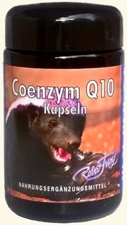 Coenzym Q10